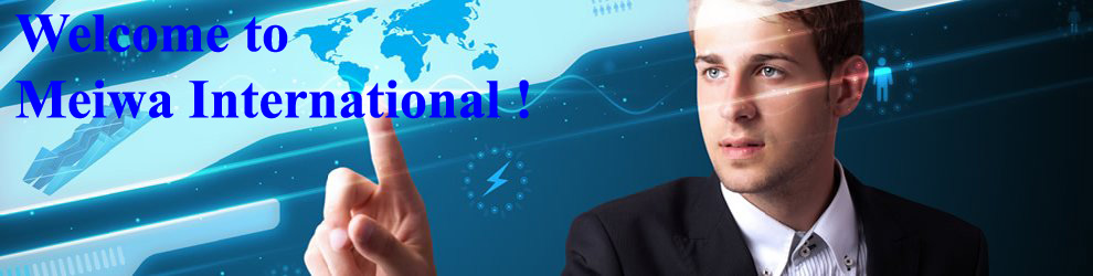 Meiwa International